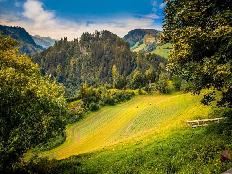 Gasthof Pesbichl image