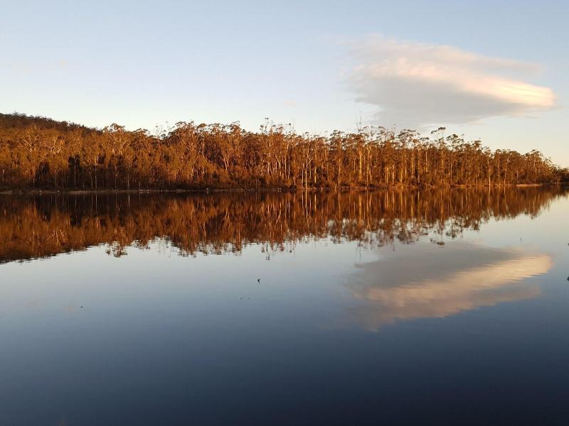 Lake Yalleena Cabins