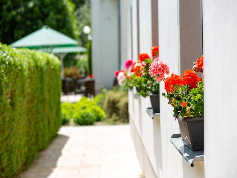 Cafe Wildau Hotel Am Werbellinsee image