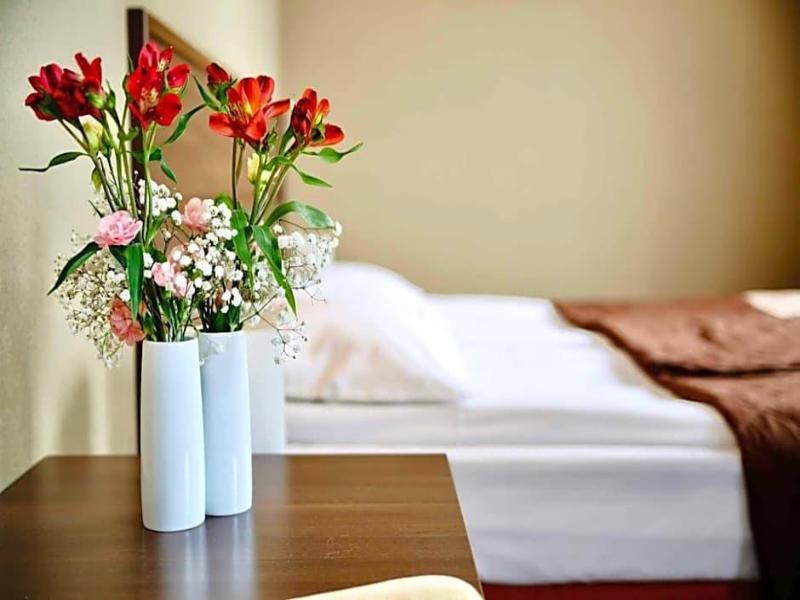 Hotel Teczowy Mlyn image