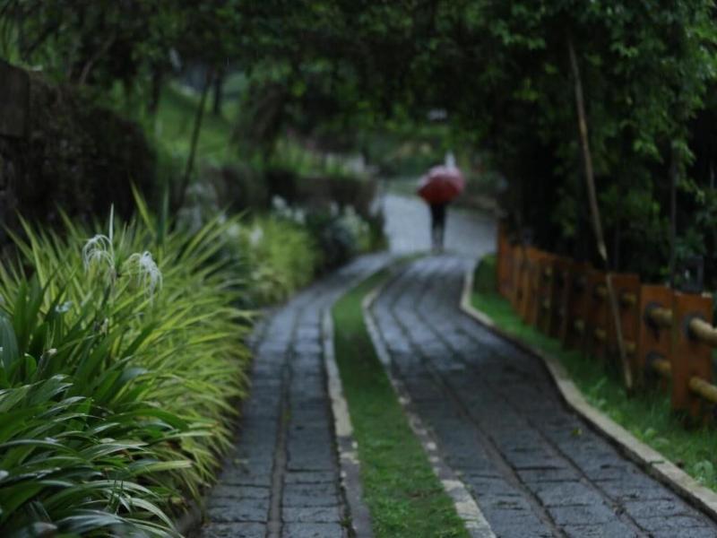 Broad Bean Resort Spa image