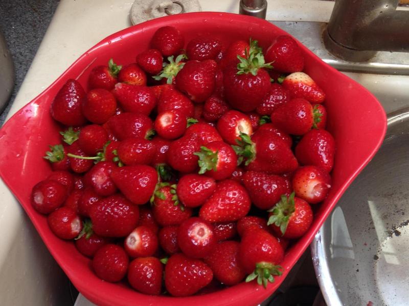 Nettles Farm image