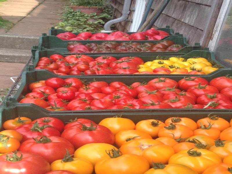 Nettles Farm image