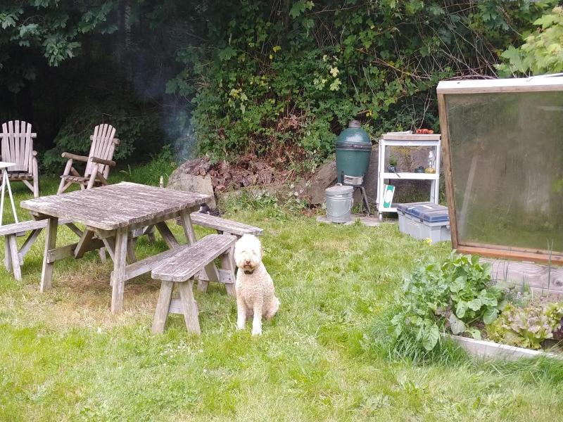 Nettles Farm image