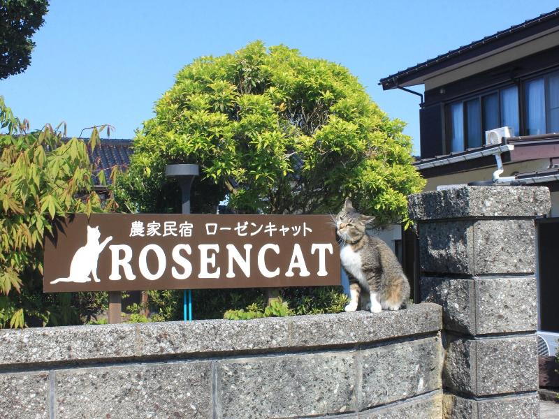 Rosencat, Sado