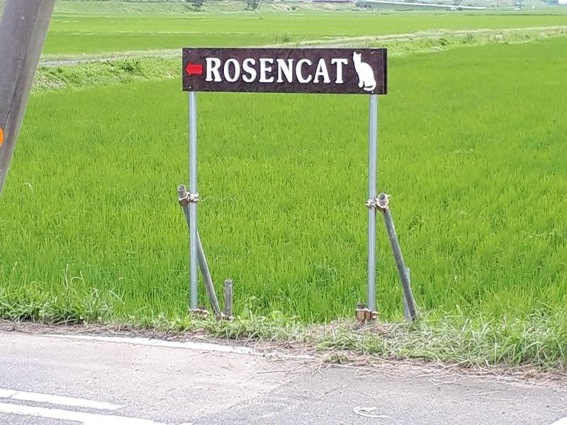 Rosencat