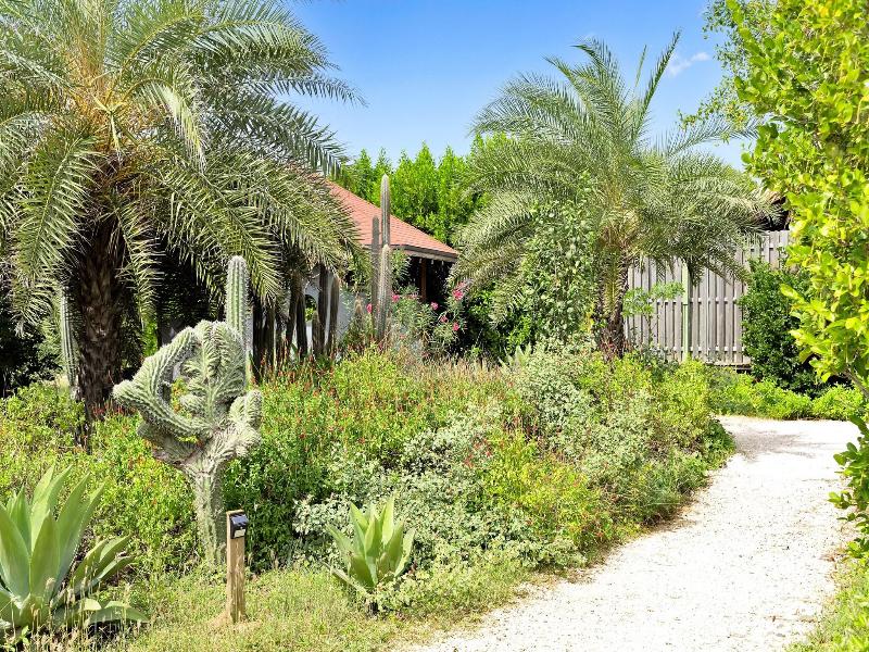 Red Palm Village image