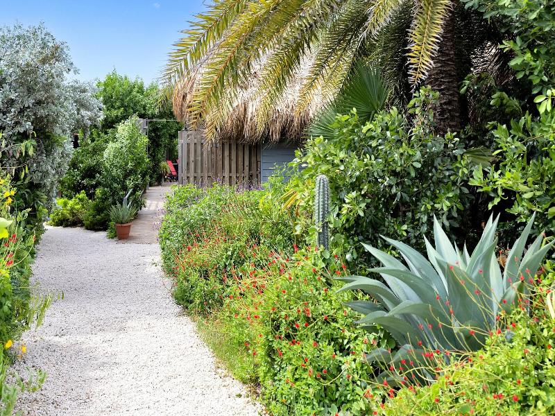 Red Palm Village image