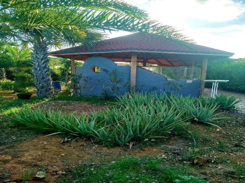 Red Palm Village image