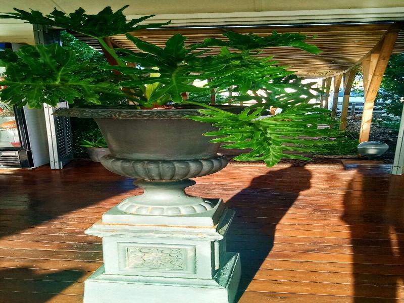 Red Palm Village image