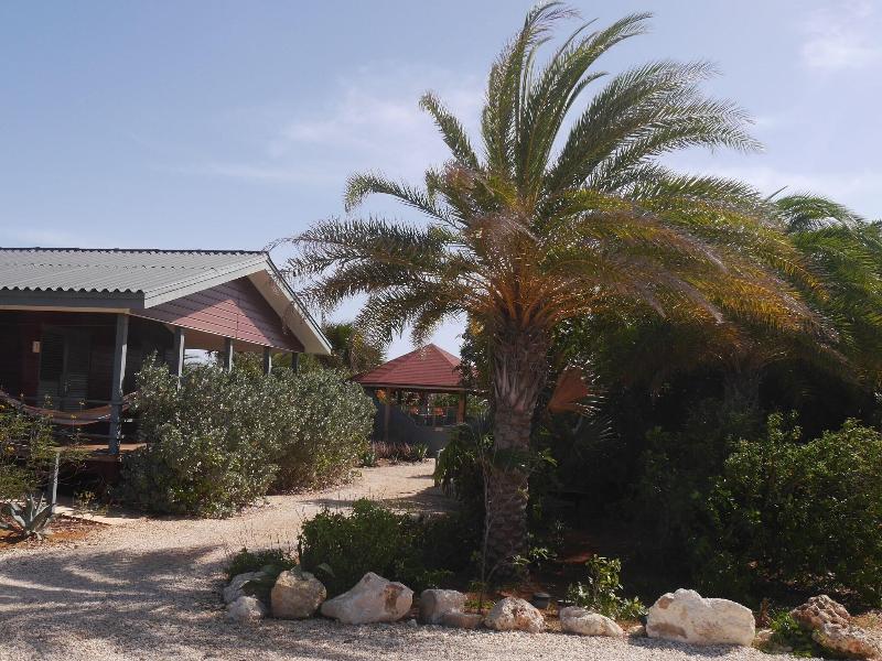 Red Palm Village image