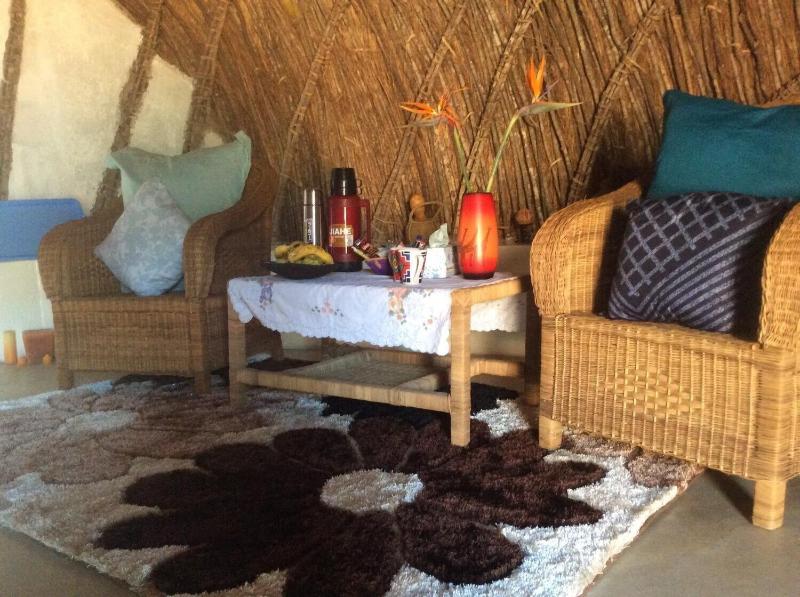 Swazi Dreams Nqabaneni Eco Volunteering image