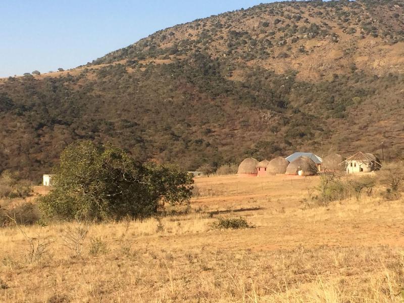 Swazi Dreams Nqabaneni Eco Volunteering image
