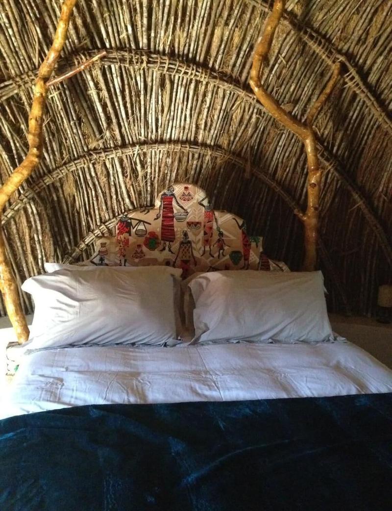 Swazi Dreams Nqabaneni Eco Volunteering image