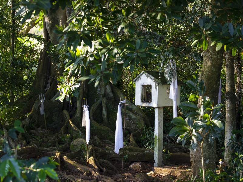 W15 Hanthana Estate Kandy All Inclusive