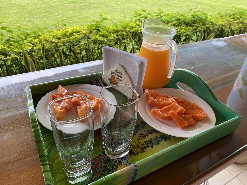 Brugmansia Country Hotel image