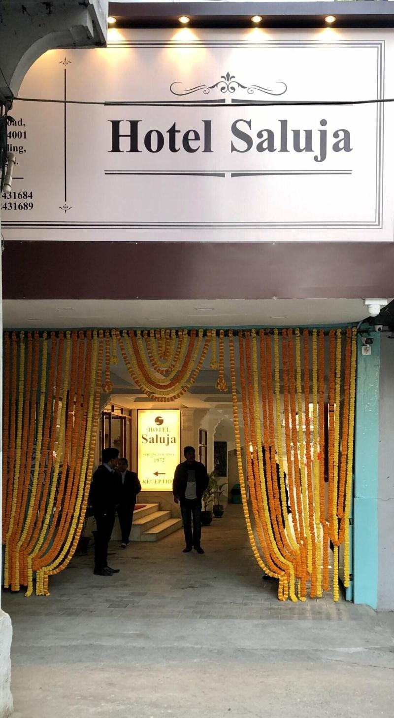 Hotel Saluja image