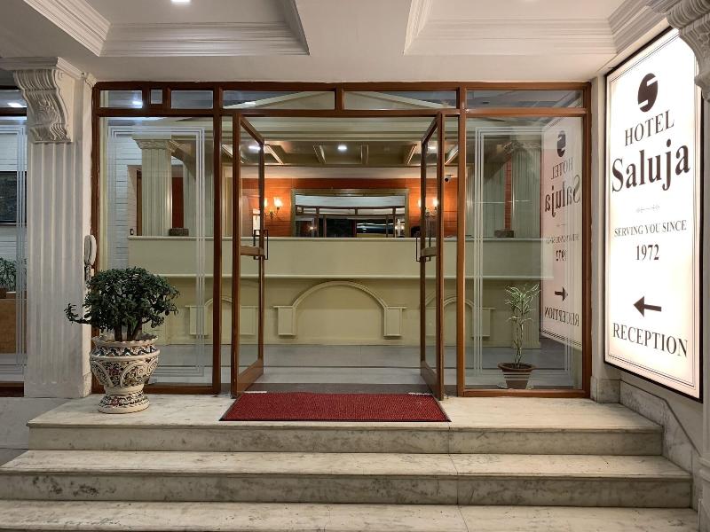 Hotel Saluja image