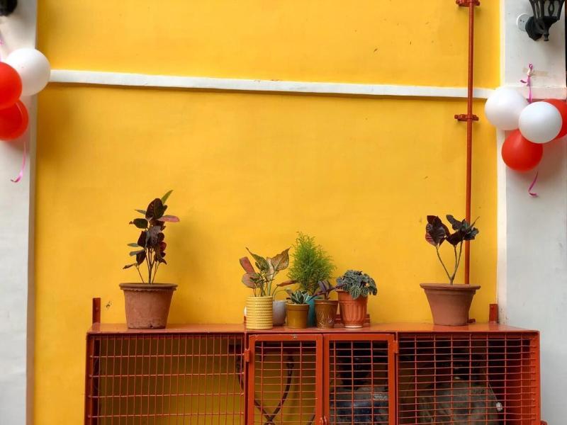 Hotel Saluja image