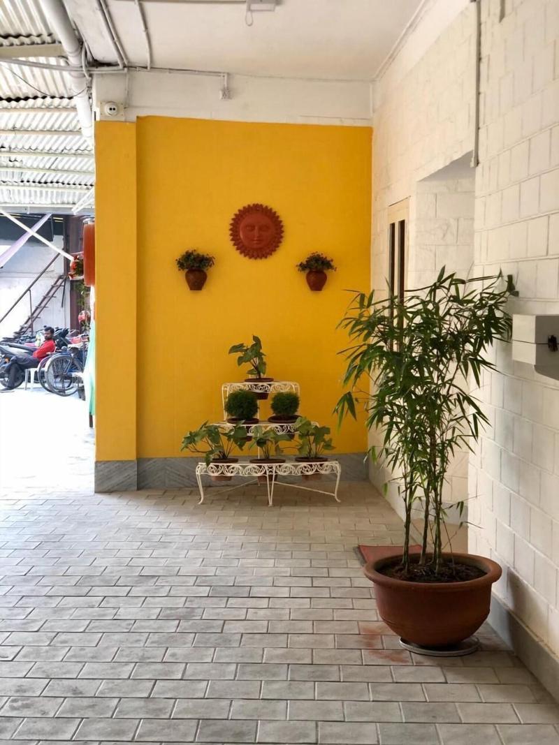 Hotel Saluja image