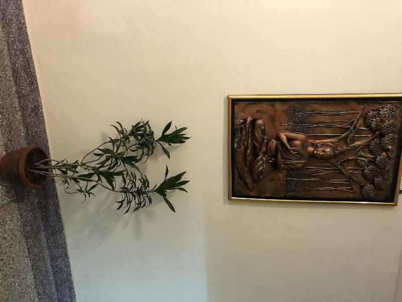Hotel Saluja image
