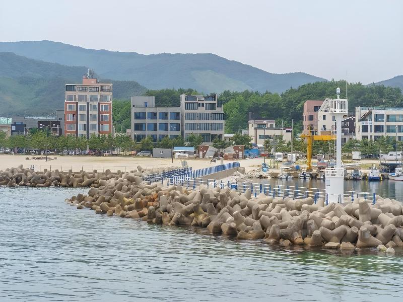 Yangyang L9 Pension — photo 4