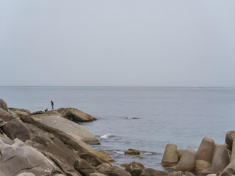 Yangyang L9 Pension — photo 10