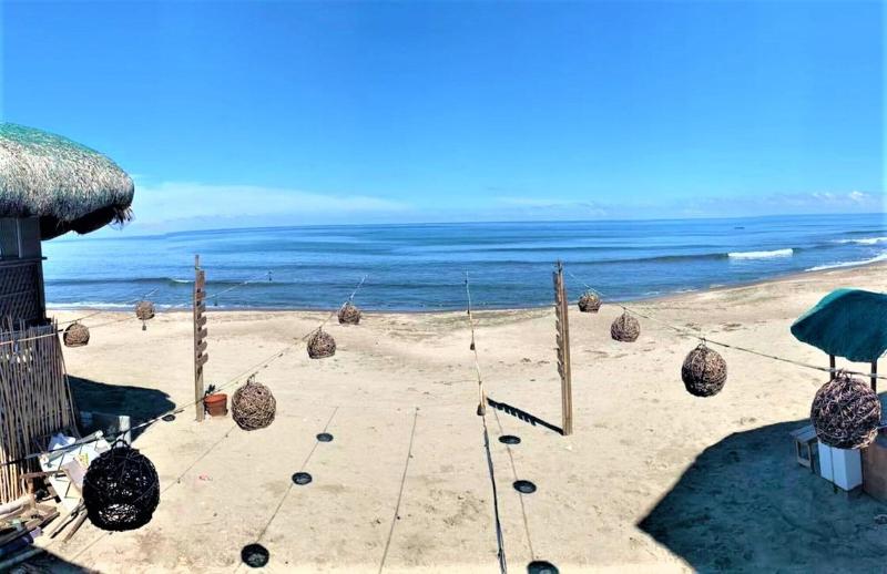Surfer's Point Deck by ZUZU image 1