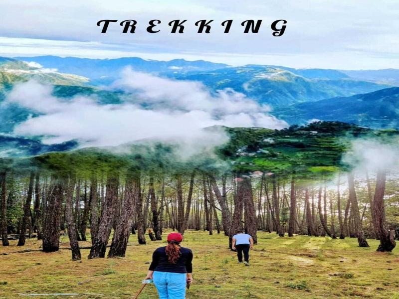 Kali Tibba Resort image