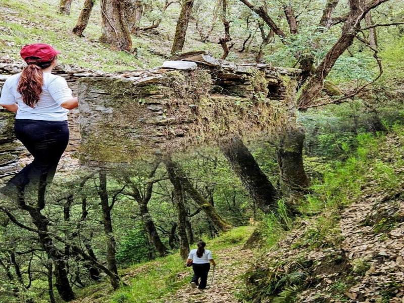 Kali Tibba Resort image