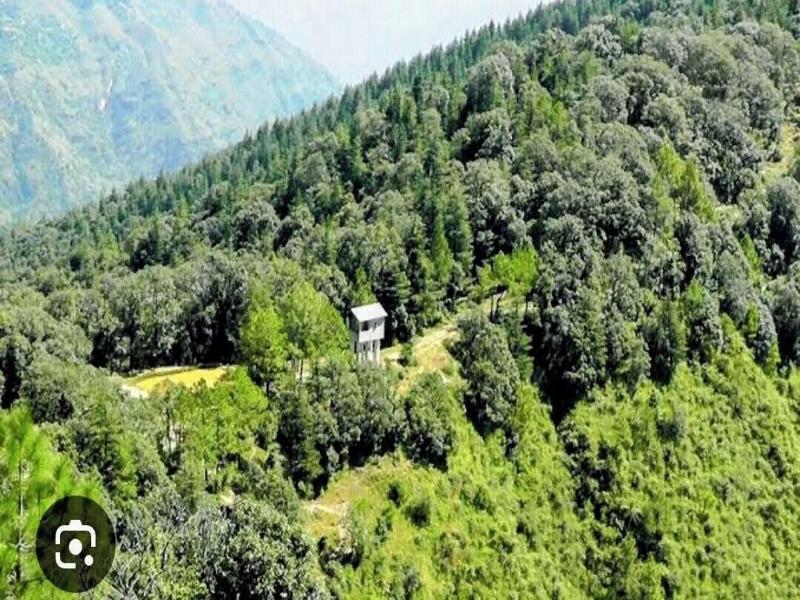 Kali Tibba Resort image