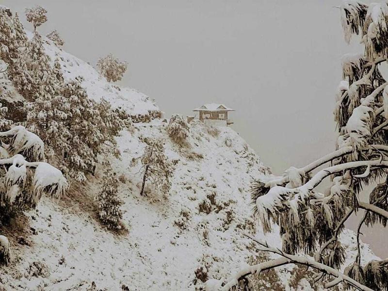 Kali Tibba Resort image