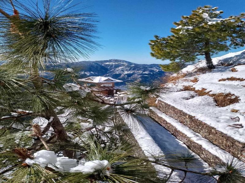 Kali Tibba Resort image