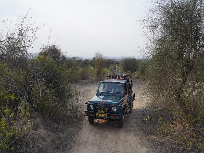 Sariska Safari Lodge