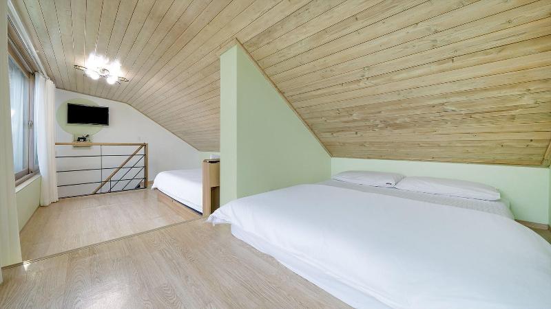 Gapyung Amor Pension Gaegok Suyoungjang image