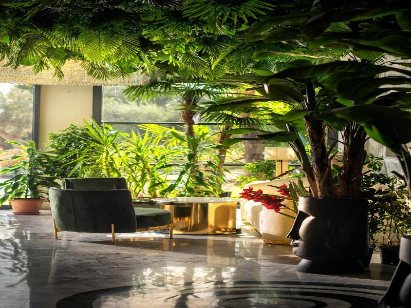 Tnr Boutique Hotel Spa image