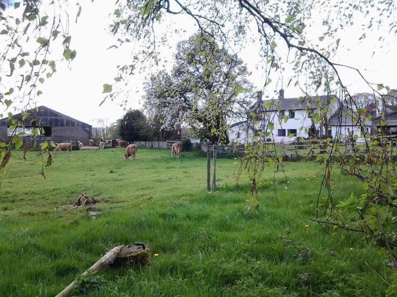 Thorps Farm Bed And Breakfast image