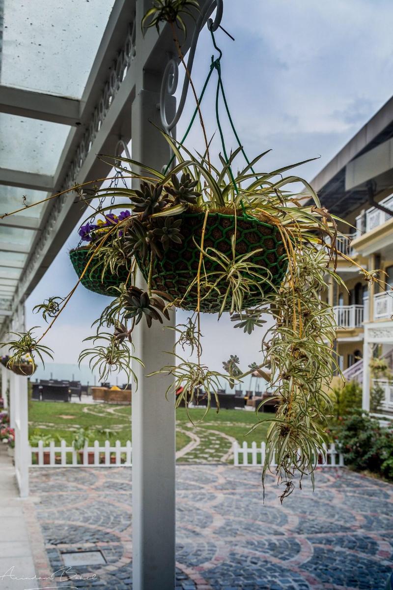 The Fern Brentwood Resort — general view