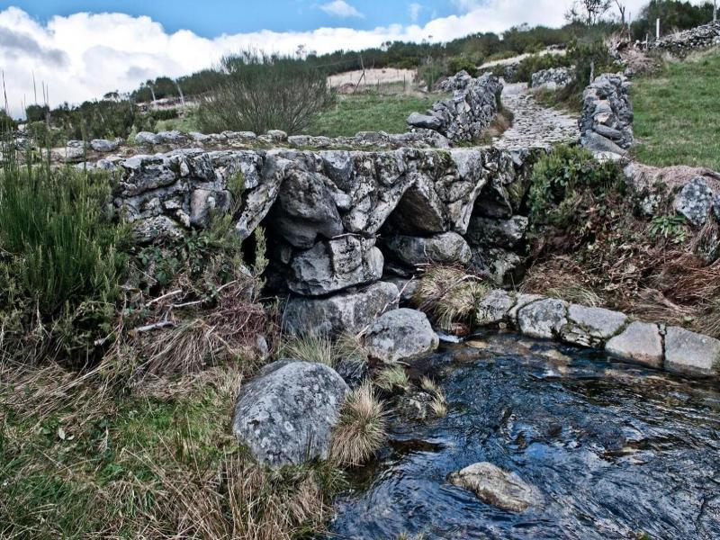 Miradouro Do Castelo image