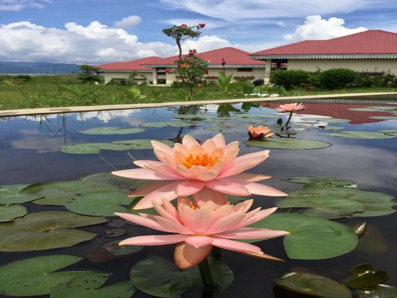Inle Garden Hotel image