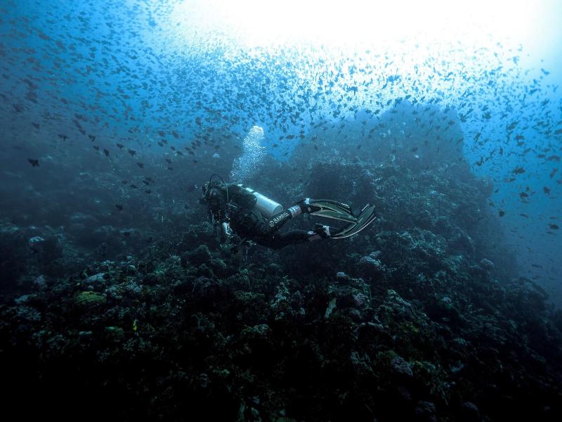 Casalay Boutique Villas & Dive image