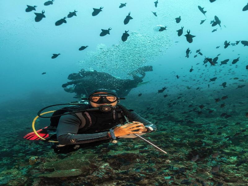 Casalay Boutique Villas & Dive image