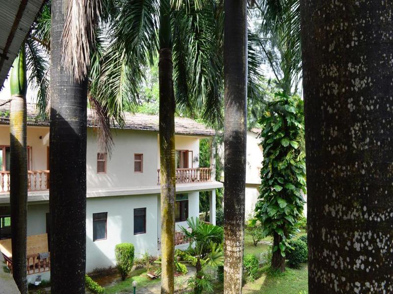 Chitwan Paradise Hotel image
