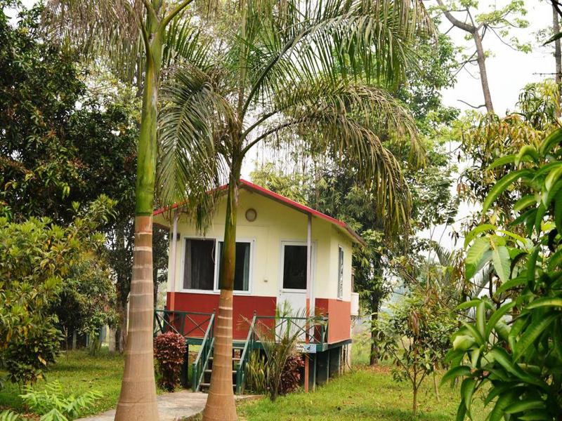 Chitwan Paradise Hotel image