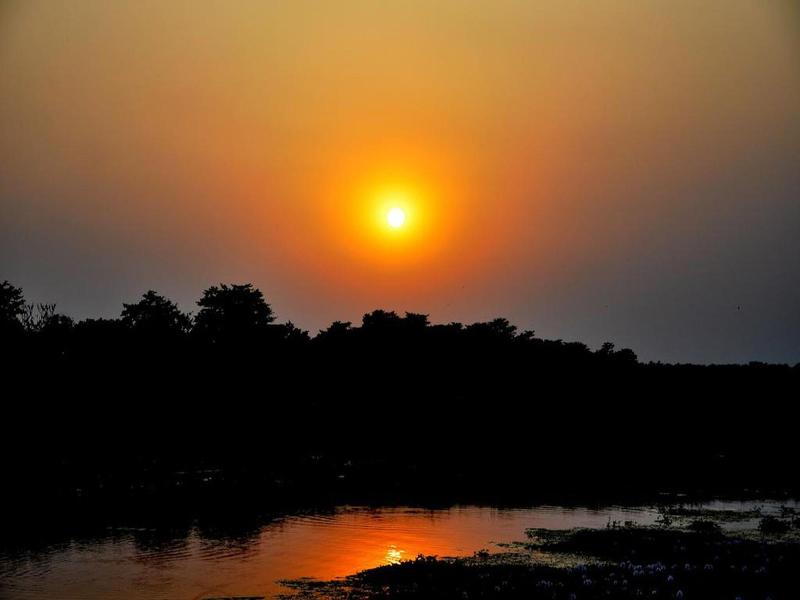 Chitwan Paradise Hotel image