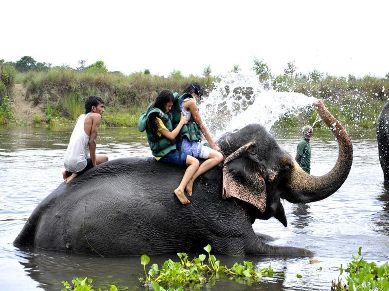 Chitwan Paradise Hotel image
