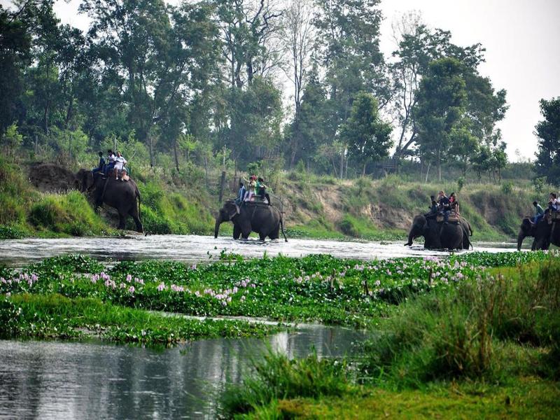 Chitwan Paradise Hotel image