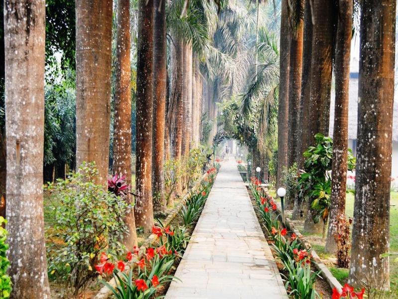 Chitwan Paradise Hotel image