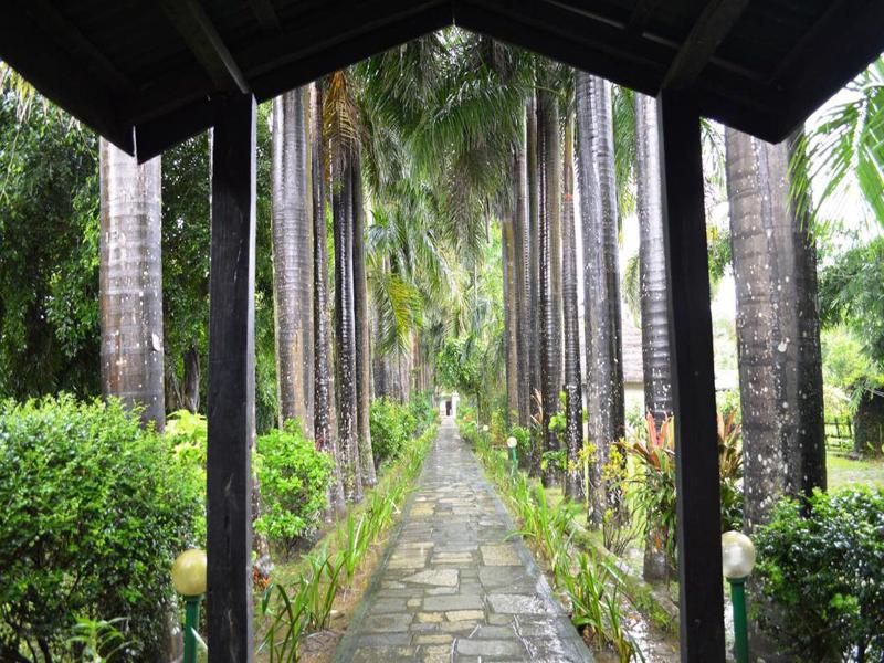 Chitwan Paradise Hotel image