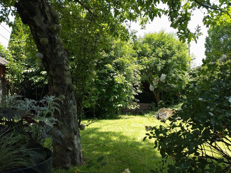 Pension Elisabeth - Rooms & Apartments image